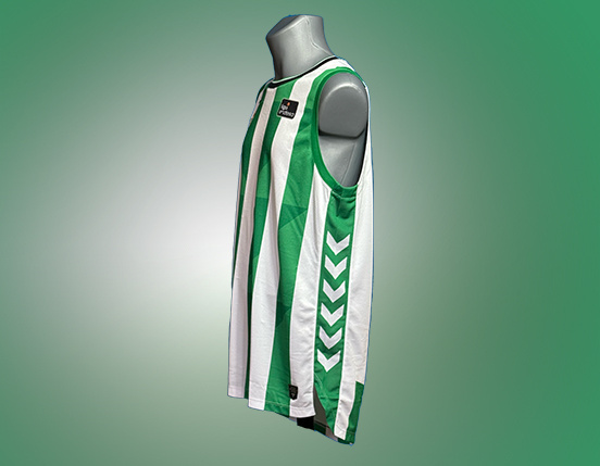 Camiseta Verdiblanca ACB