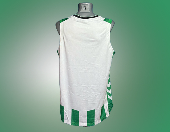 Camiseta Verdiblanca ACB
