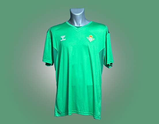 Camiseta Entrenamiento